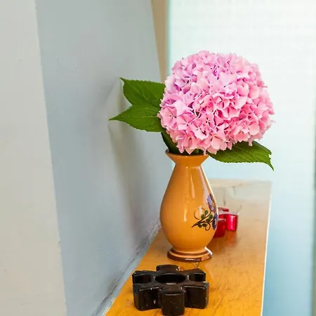 Apartment Alonia *